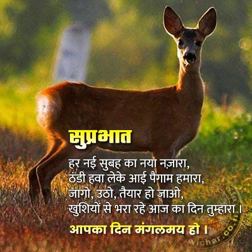 good morning messages in Hindi - suprabhat suvichar