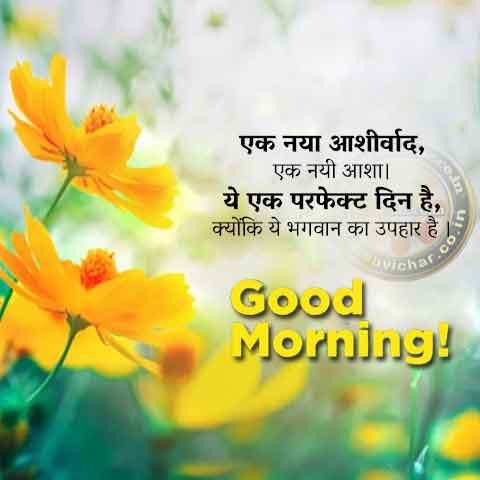 Ek Naya Ashirwad Ek Nai Asha Good Morning Wishes