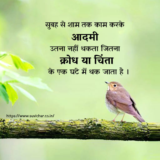 Worry Quotes in Hindi 